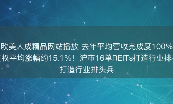 欧美人成精品网站播放 去年平均营收完成度100%，复权平均涨幅约15.1%！沪市16单REITs打造行业排头兵