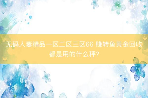 无码人妻精品一区二区三区66 赚转鱼黄金回收都是用的什么秤？