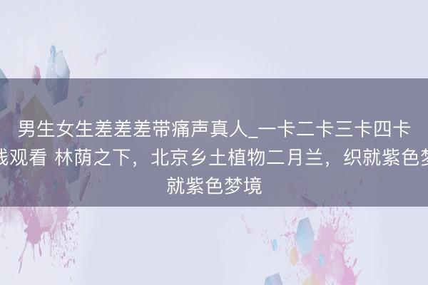男生女生差差差带痛声真人_一卡二卡三卡四卡在线观看 林荫之下，北京乡土植物二月兰，织就紫色梦境