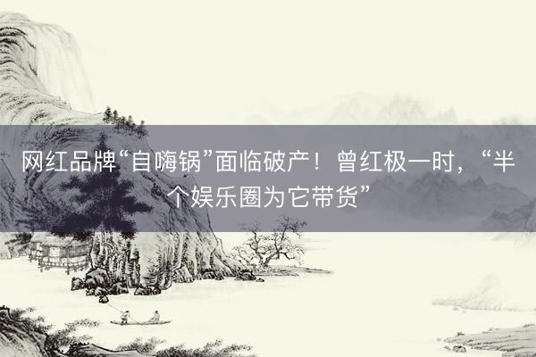 网红品牌“自嗨锅”面临破产！曾红极一时，“半个娱乐圈为它带货”
