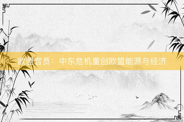 欧盟官员：中东危机重创欧盟能源与经济