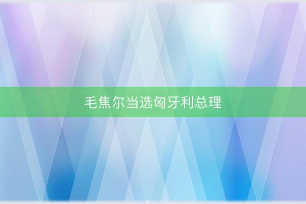 毛焦尔当选匈牙利总理