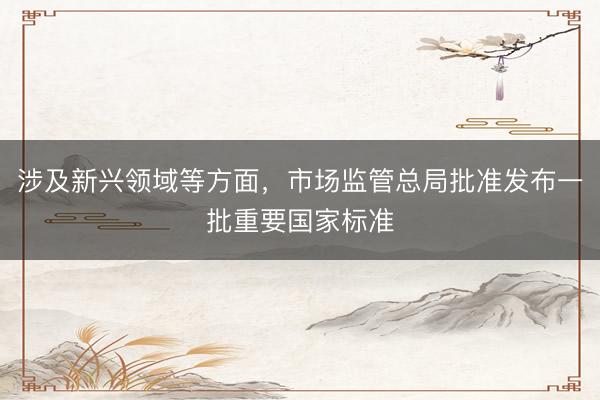 涉及新兴领域等方面，市场监管总局批准发布一批重要国家标准