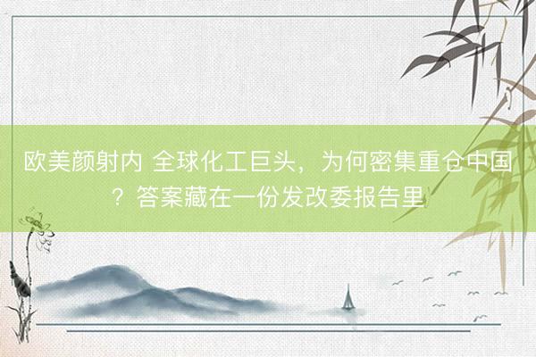 欧美颜射内 全球化工巨头，为何密集重仓中国？答案藏在一份发改委报告里