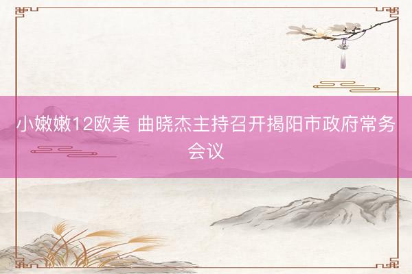 小嫩嫩12欧美 曲晓杰主持召开揭阳市政府常务会议
