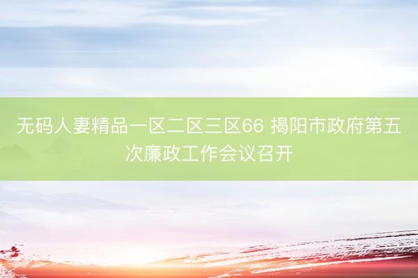 无码人妻精品一区二区三区66 揭阳市政府第五次廉政工作会议召开