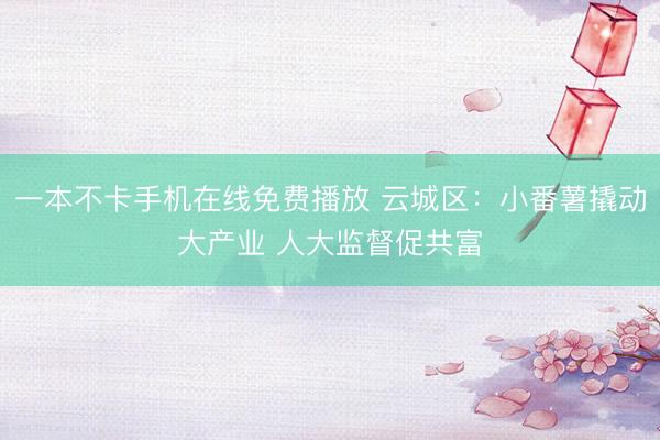 一本不卡手机在线免费播放 云城区：小番薯撬动大产业 人大监督促共富