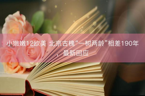 小嫩嫩12欧美 北京古槐“一树两龄”相差190年，最新回应