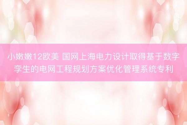 小嫩嫩12欧美 国网上海电力设计取得基于数字孪生的电网工程规划方案优化管理系统专利