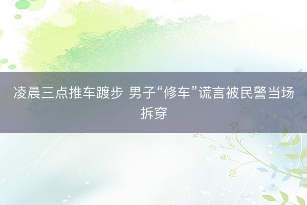 凌晨三点推车踱步 男子“修车”谎言被民警当场拆穿