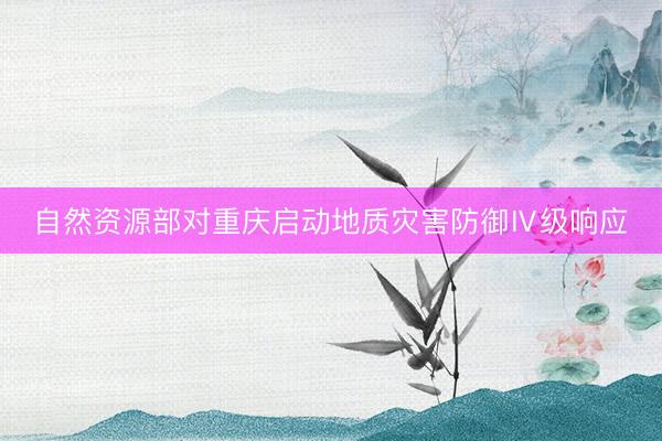 自然资源部对重庆启动地质灾害防御Ⅳ级响应