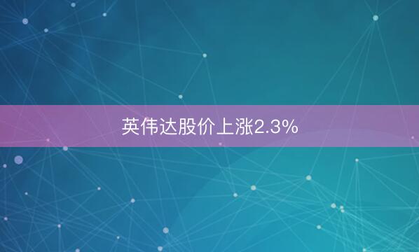 英伟达股价上涨2.3%