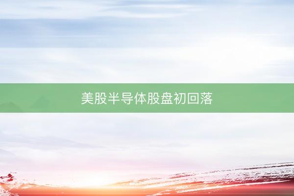 美股半导体股盘初回落