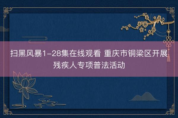 扫黑风暴1-28集在线观看 重庆市铜梁区开展残疾人专项普法活动