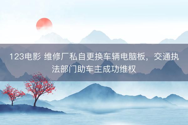 123电影 维修厂私自更换车辆电脑板，交通执法部门助车主成功维权