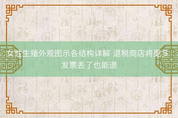 女性生殖外观图示各结构详解 退税商店将更多 发票丢了也能退