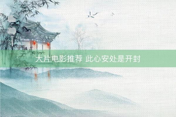 大片电影推荐 此心安处是开封