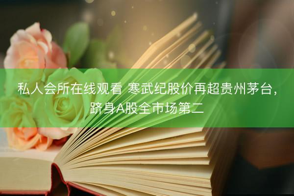 私人会所在线观看 寒武纪股价再超贵州茅台，跻身A股全市场第二
