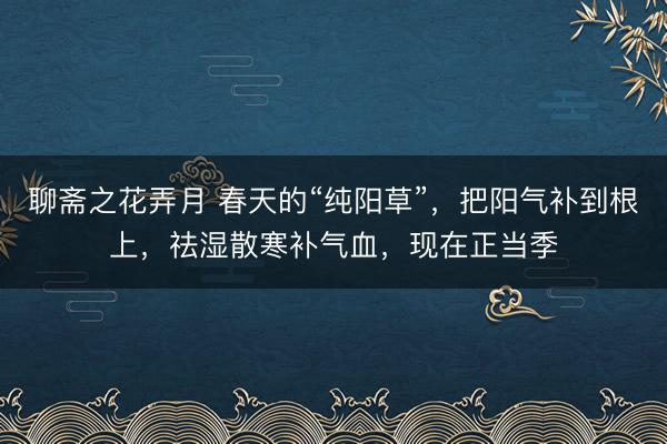 聊斋之花弄月 春天的“纯阳草”，把阳气补到根上，祛湿散寒补气血，现在正当季