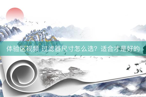 体验区视频 过滤器尺寸怎么选？适合才是好的