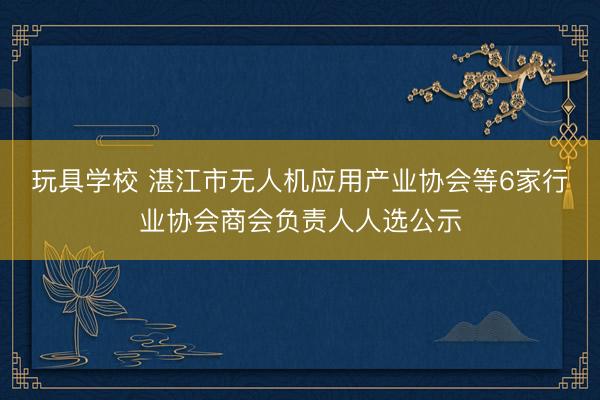 玩具学校 湛江市无人机应用产业协会等6家行业协会商会负责人人选公示