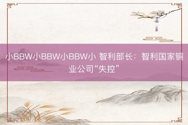 小BBW小BBW小BBW小 智利部长：智利国家铜业公司“失控”