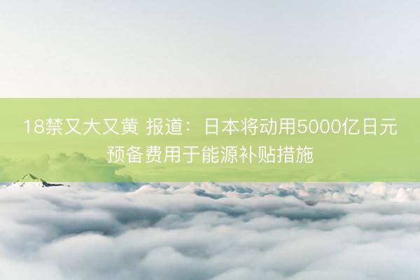 18禁又大又黄 报道：日本将动用5000亿日元预备费用于能源补贴措施