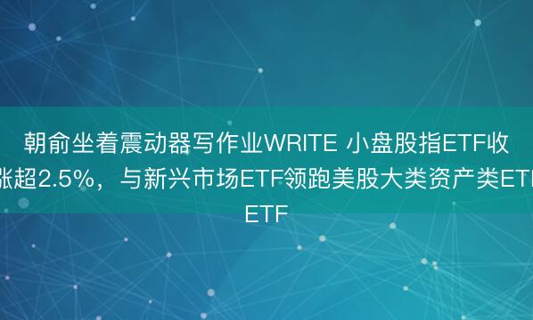 朝俞坐着震动器写作业WRITE 小盘股指ETF收涨超2.5%，与新兴市场ETF领跑美股大类资产类ETF