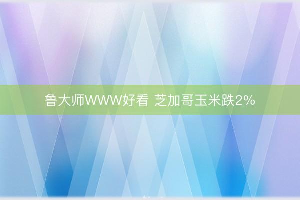 鲁大师WWW好看 芝加哥玉米跌2%