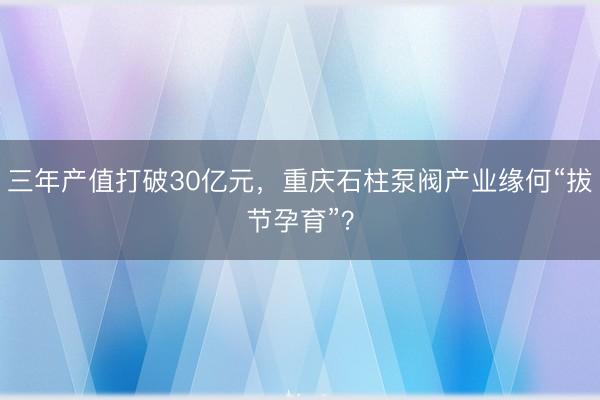 三年产值打破30亿元，重庆石柱泵阀产业缘何“拔节孕育”？
