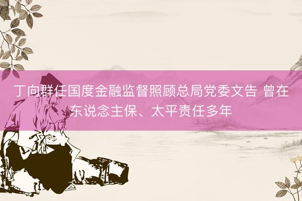丁向群任国度金融监督照顾总局党委文告 曾在东说念主保、太平责任多年