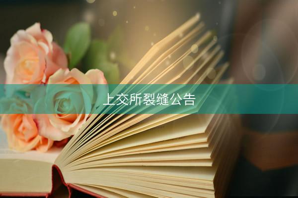 上交所裂缝公告