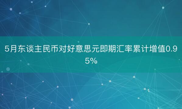 5月东谈主民币对好意思元即期汇率累计增值0.95%