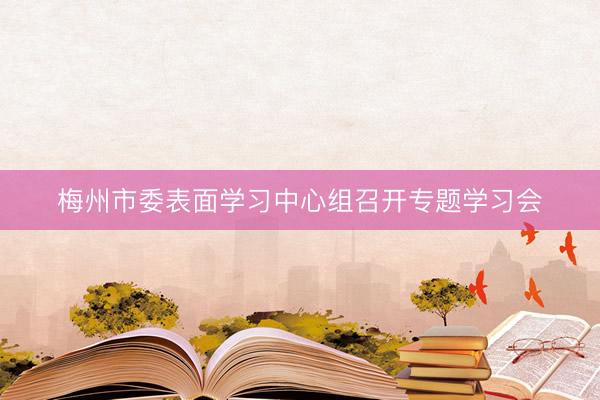 梅州市委表面学习中心组召开专题学习会