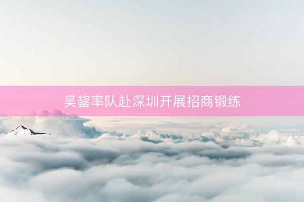 吴鋆率队赴深圳开展招商锻练