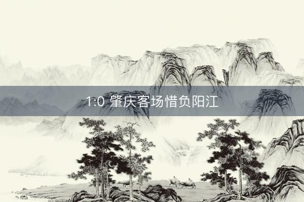 1:0 肇庆客场惜负阳江