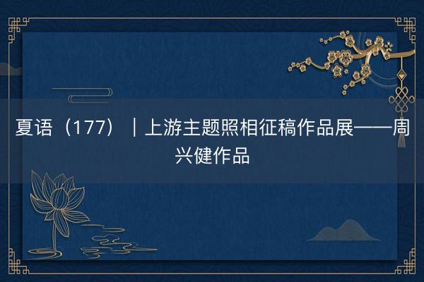 夏语（177）｜上游主题照相征稿作品展——周兴健作品