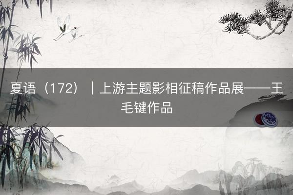 夏语（172）｜上游主题影相征稿作品展——王毛键作品