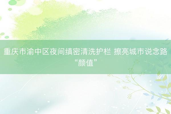 重庆市渝中区夜间缜密清洗护栏 擦亮城市说念路“颜值”