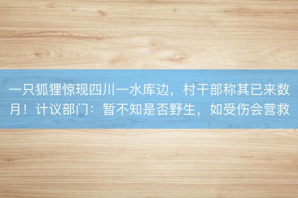 一只狐狸惊现四川一水库边，村干部称其已来数月！计议部门：暂不知是否野生，如受伤会营救