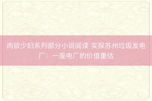 肉欲少妇系列部分小说阅读 实探苏州垃圾发电厂：一座电厂的价值重估