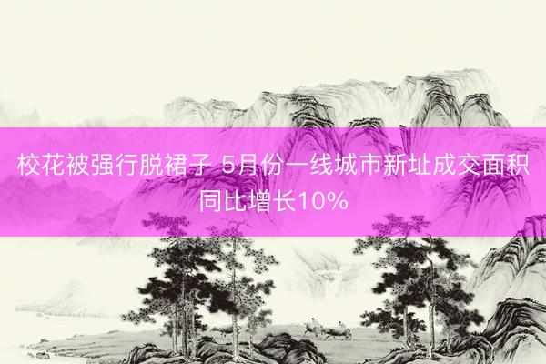 校花被强行脱裙子 5月份一线城市新址成交面积同比增长10%
