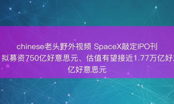 chinese老头野外视频 SpaceX敲定IPO刊行价，拟募资750亿好意思元、估值有望接近1.77万亿好意思元