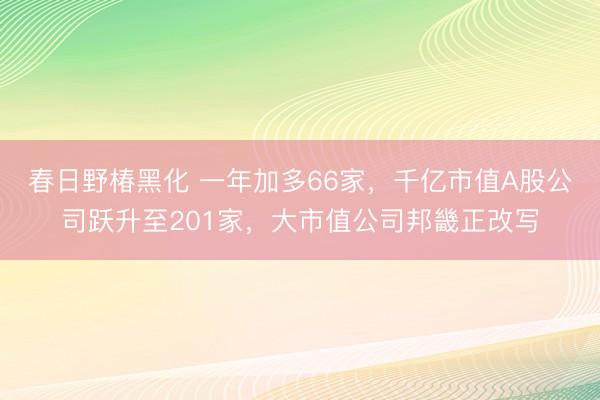 春日野椿黑化 一年加多66家,千亿市值A股公司跃升至201家,大市值公司邦畿正改写