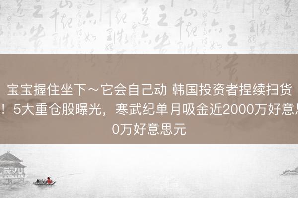 宝宝握住坐下～它会自己动 韩国投资者捏续扫货A股！5大重仓股曝光，寒武纪单月吸金近2000万好意思元
