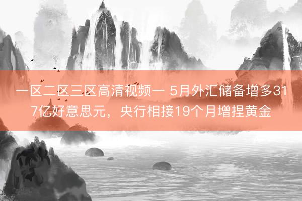 一区二区三区高清视频一 5月外汇储备增多317亿好意思元，央行相接19个月增捏黄金