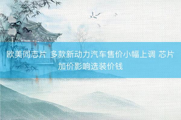 欧美同志片 多款新动力汽车售价小幅上调 芯片加价影响选装价钱