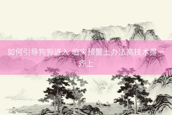 如何引导狗狗进入 临灾预警土办法高技术得一齐上