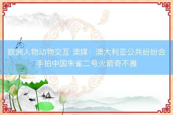 欧洲人物动物交互 澳媒：澳大利亚公共纷纷合手拍中国朱雀二号火箭奇不雅