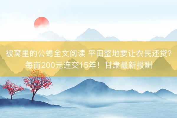 被窝里的公螅全文阅读 平田整地要让农民还贷？每亩200元连交15年！甘肃最新报酬